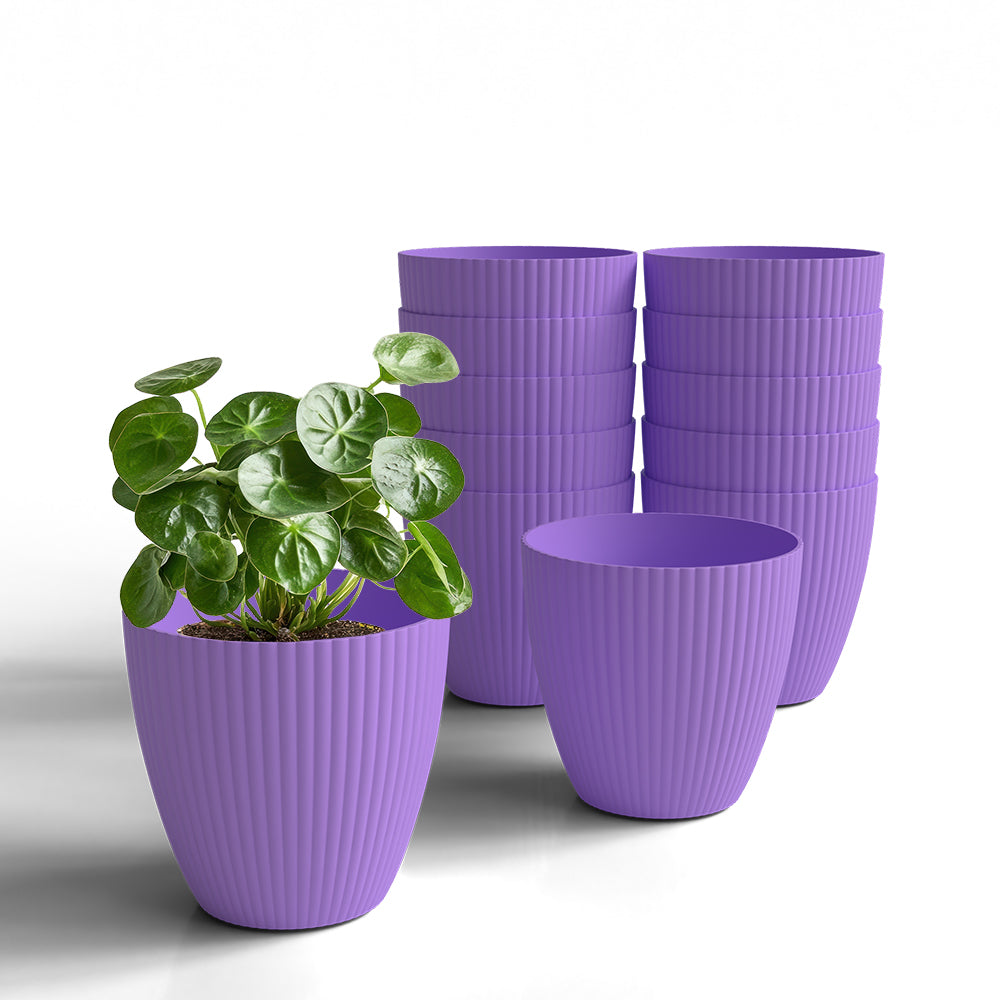 SHERA | LOTUS PLANTER