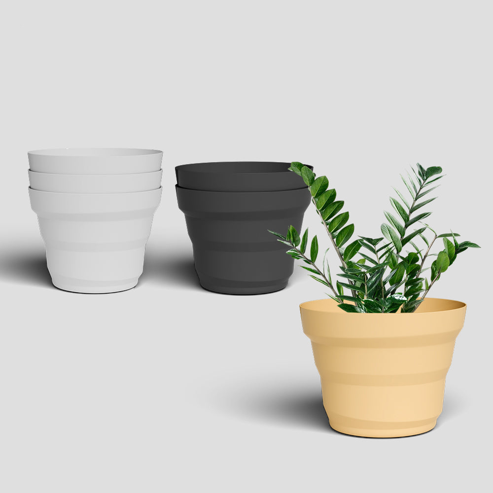 SHERA | RING PLANTER
