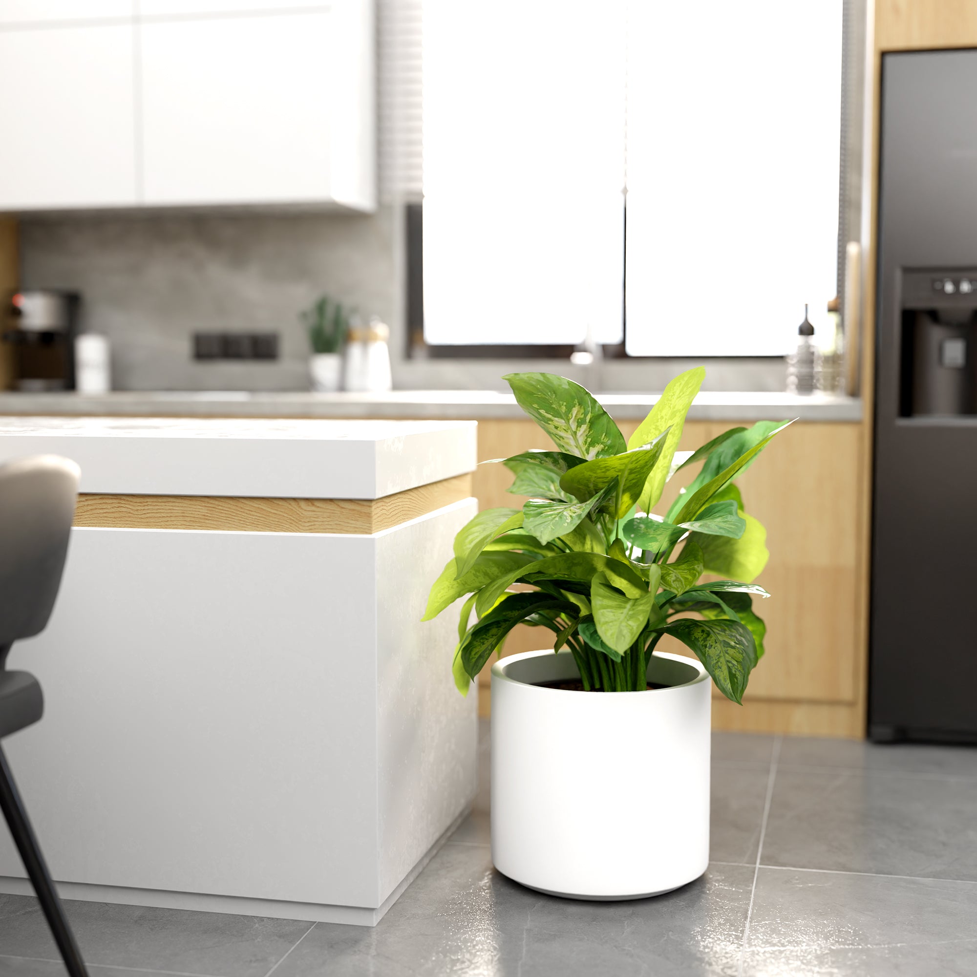 FOX B | CILIN PLANTER