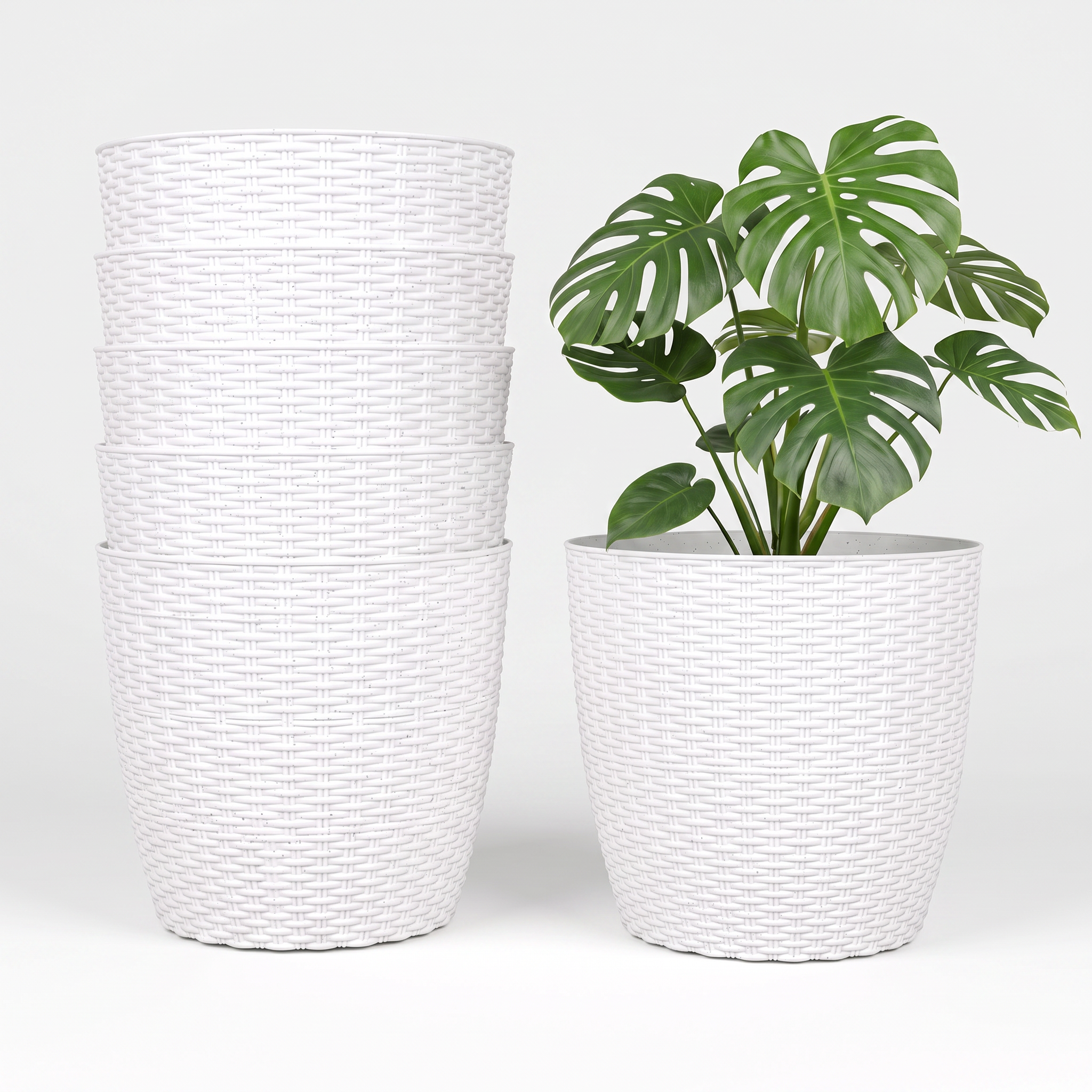 SHERA | STELLA R PLANTER
