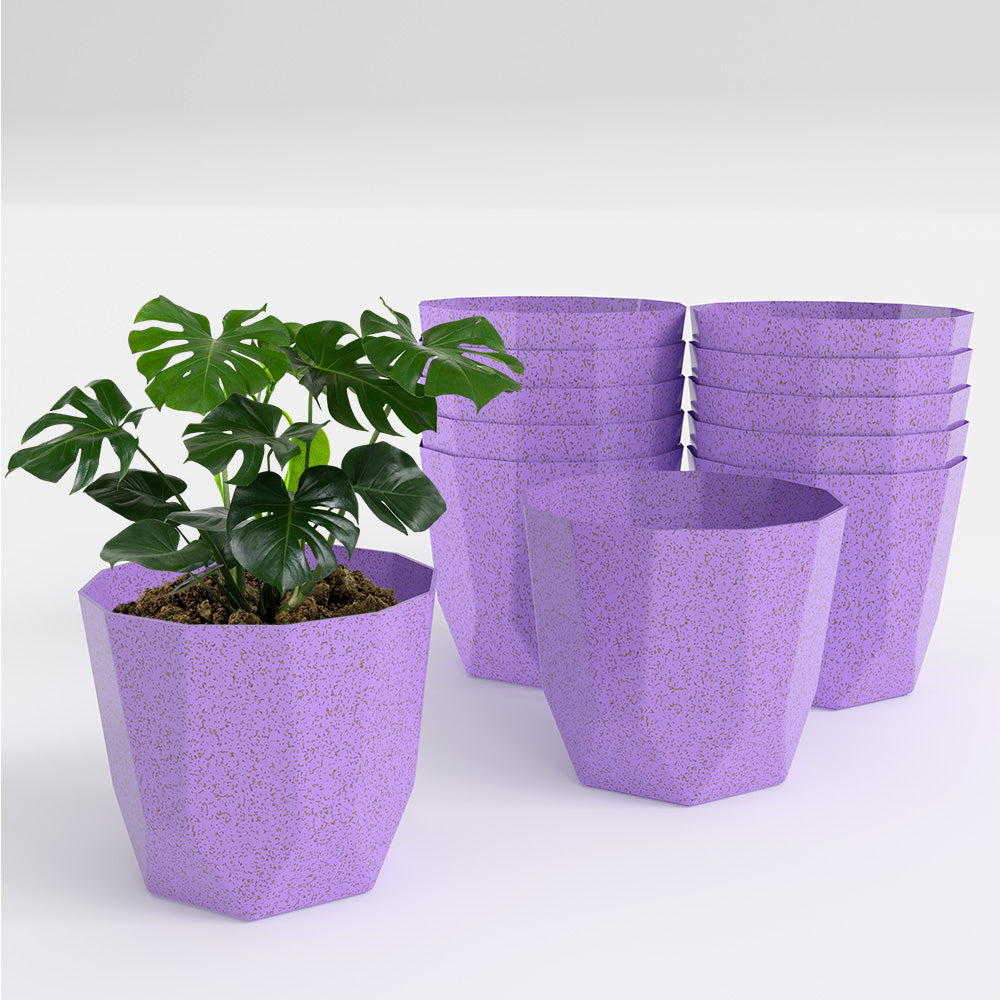 SHERA | HEXA BIO PLANTER