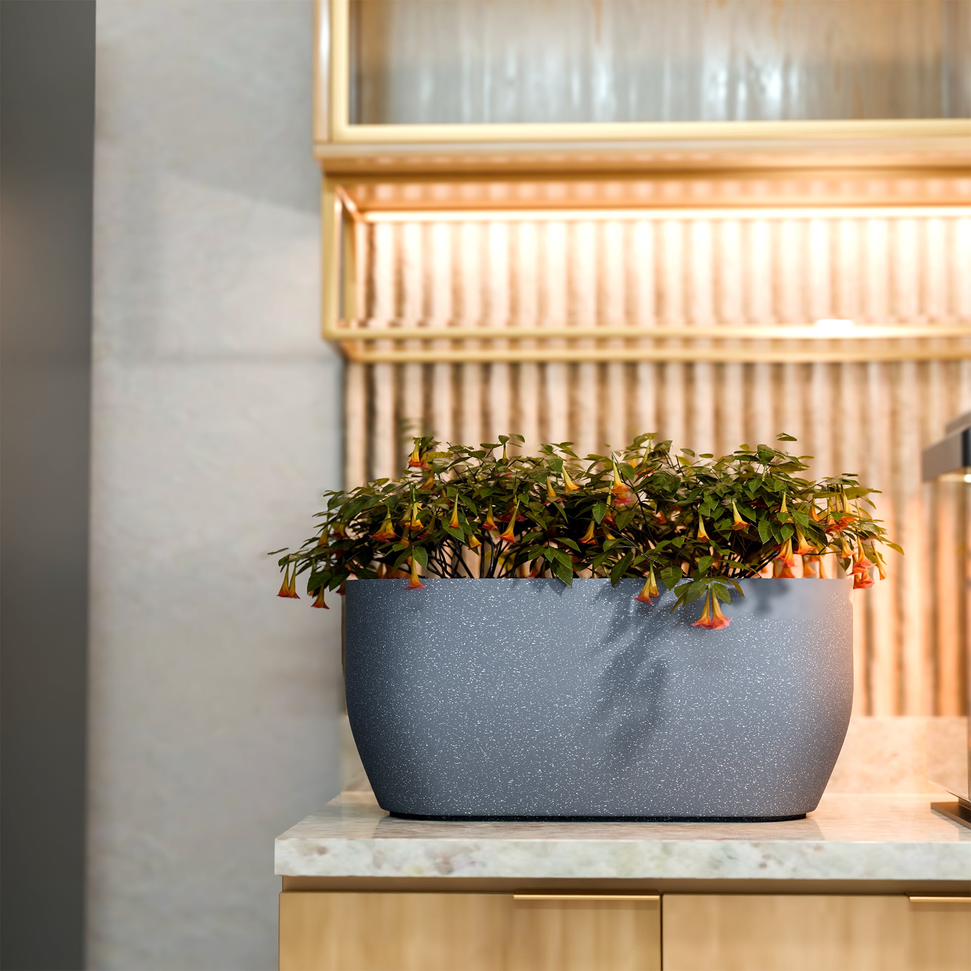 FOX B | PCTR PLANTER