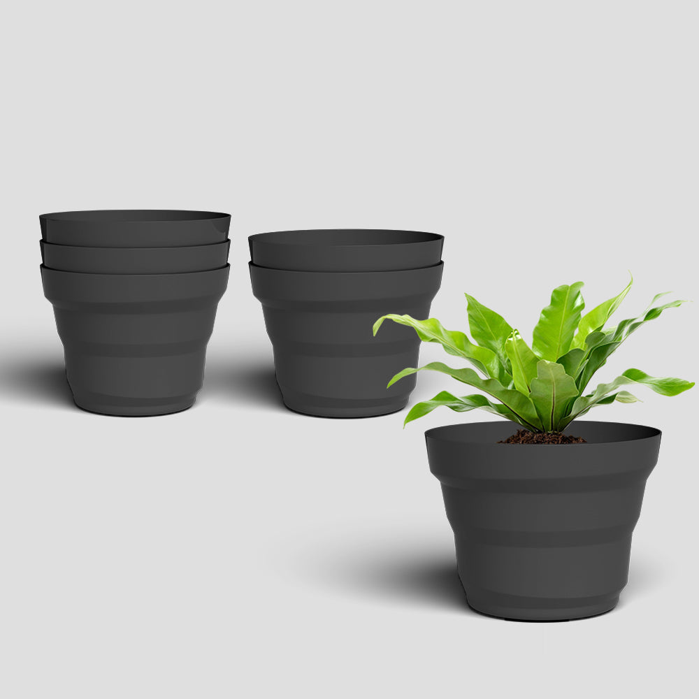 SHERA | RING PLANTER