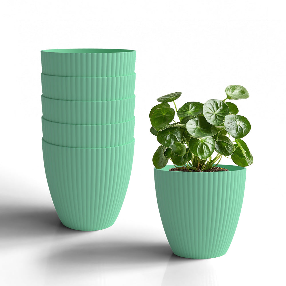 SHERA | LOTUS PLANTER