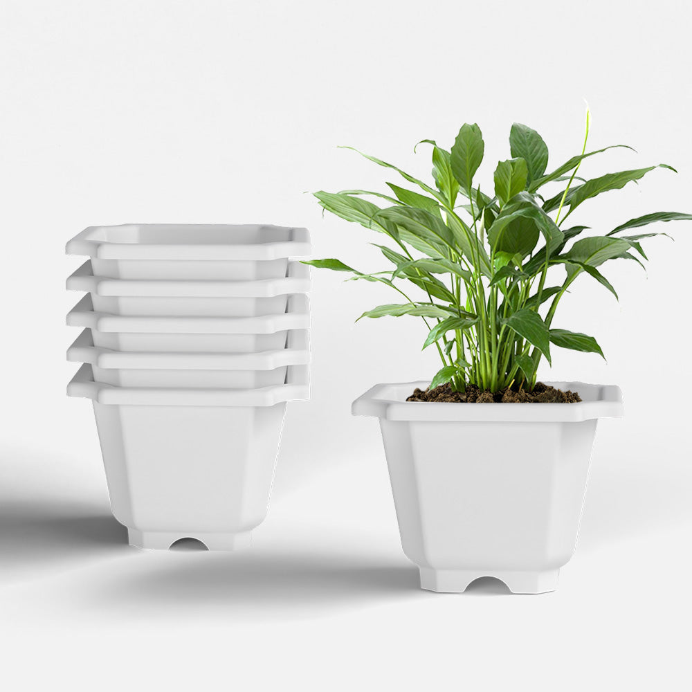 SHERA | OCTA PLANTER SET OF 6