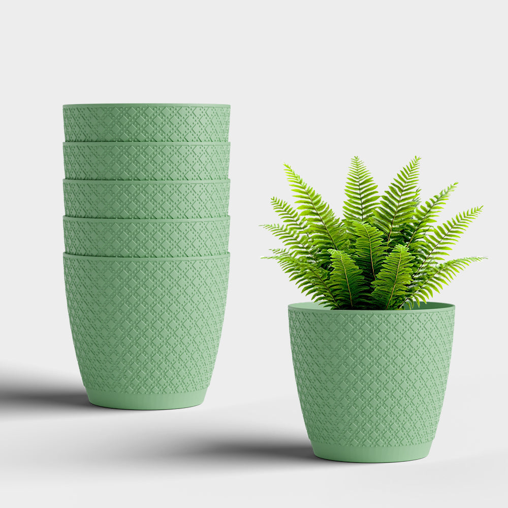 SHERA | CRUZ PLANTER