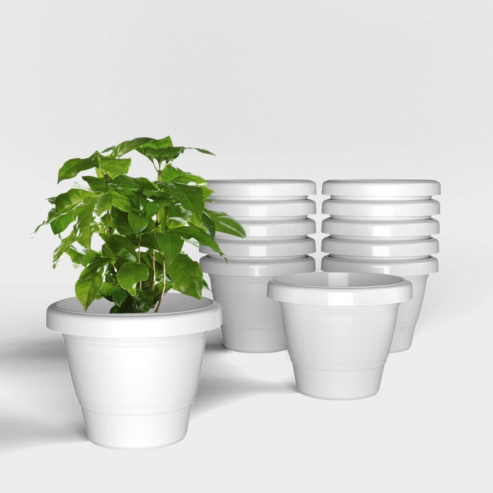 SHERA | SD PLANTER