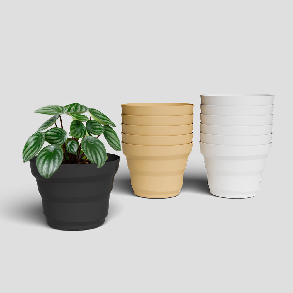 SHERA | RING PLANTER