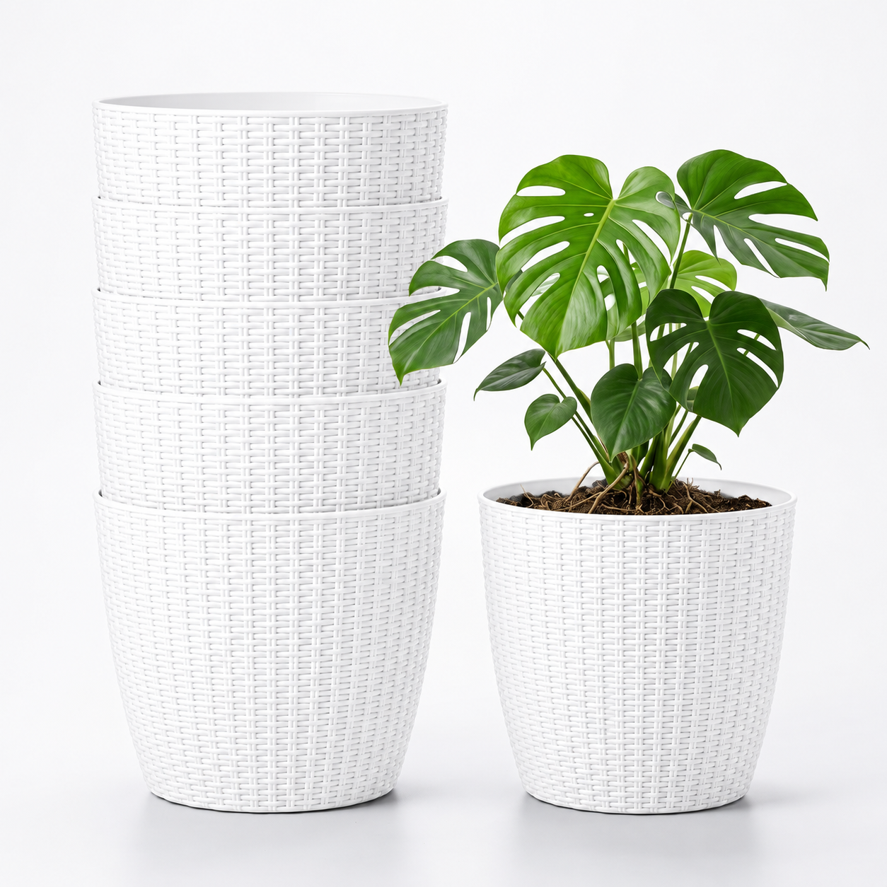 SHERA | STELLA R PLANTER