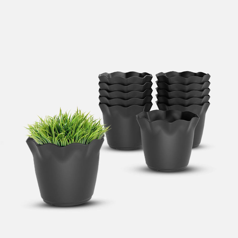 SHERA | FLOWER PLANTER