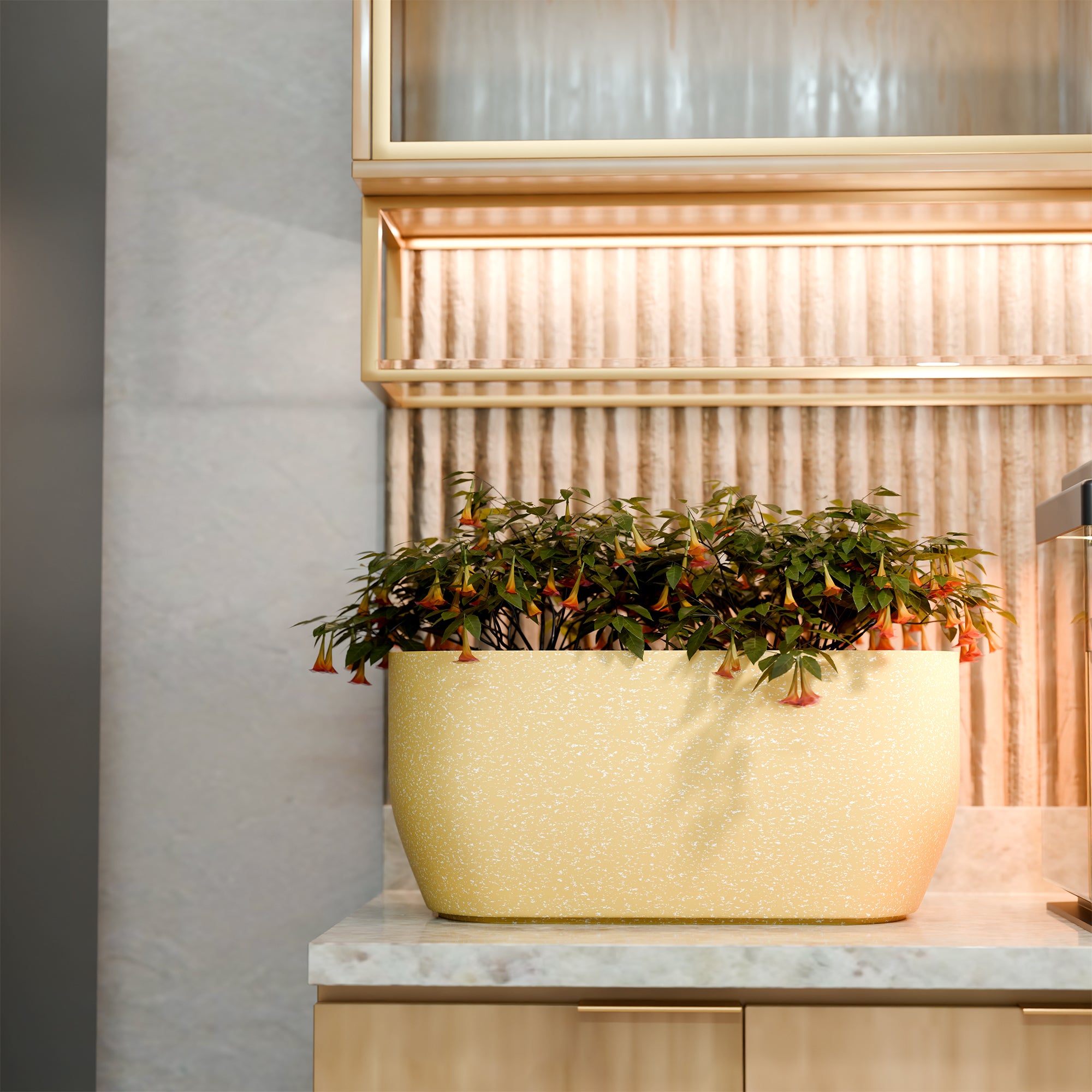 FOX B | PCTR PLANTER