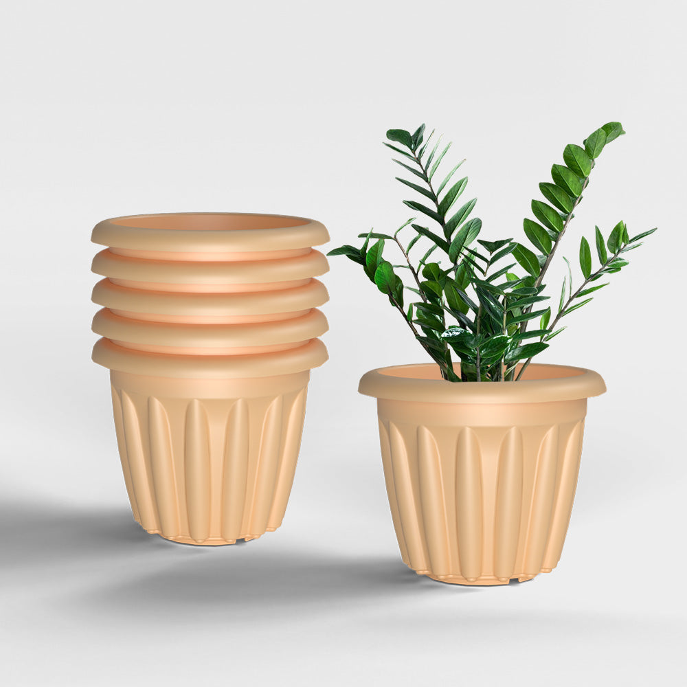 SHERA | FLOOT PLANTER