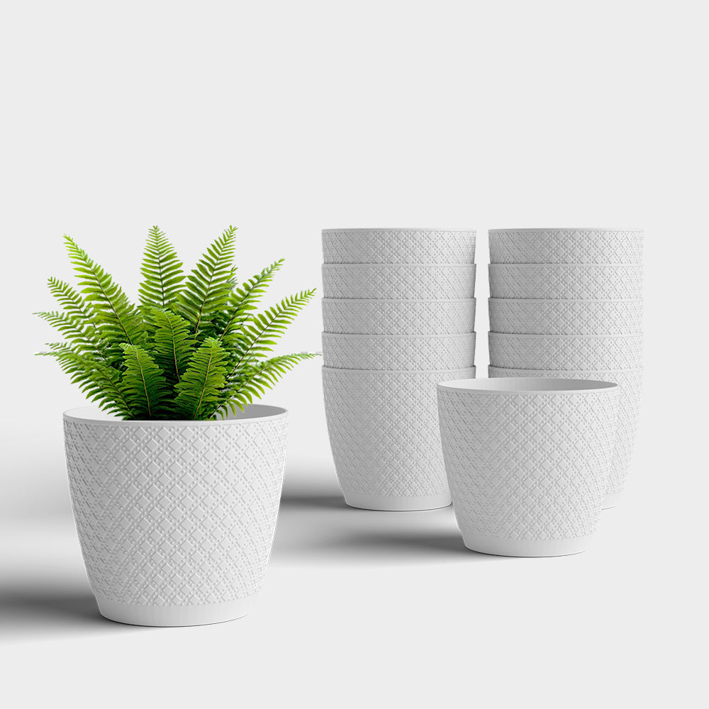 SHERA | CRUZ PLANTER