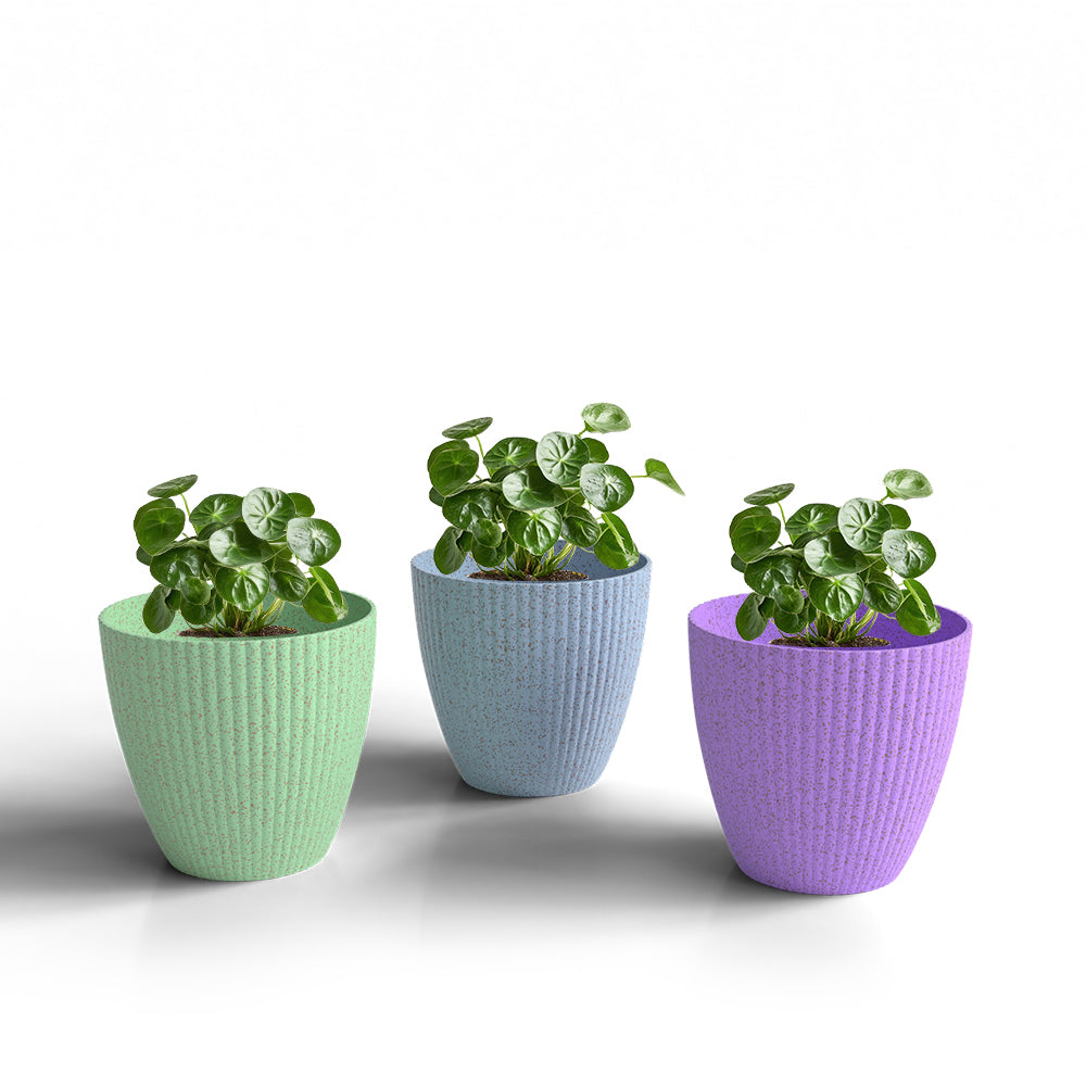 SHERA | LOTUS BIO PLANTER