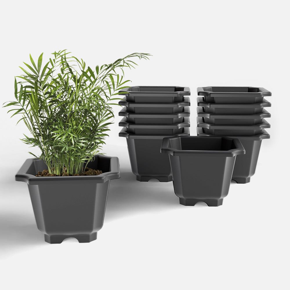 SHERA | OCTA PLANTER SET OF 12