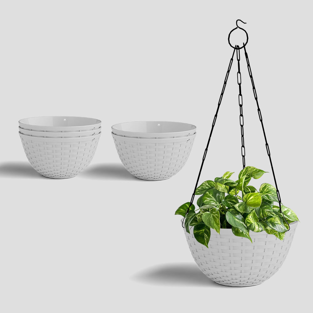 SHERA | CHICK HANGING