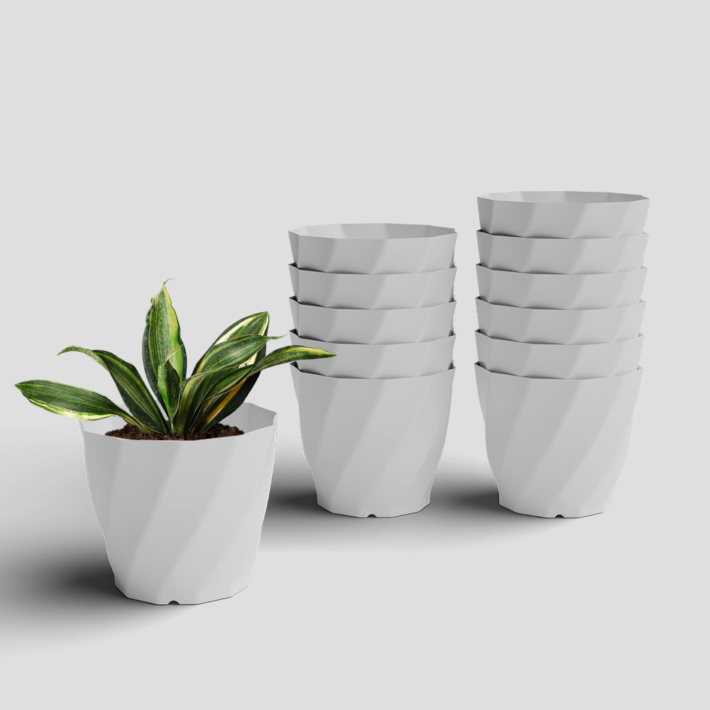 SHERA | SWIRL PLANTER