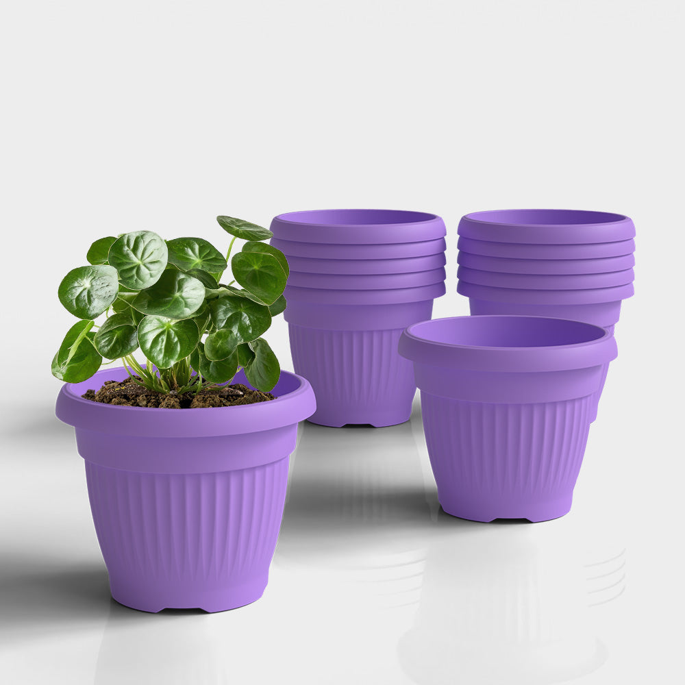SHERA | BLOOM PLANTER