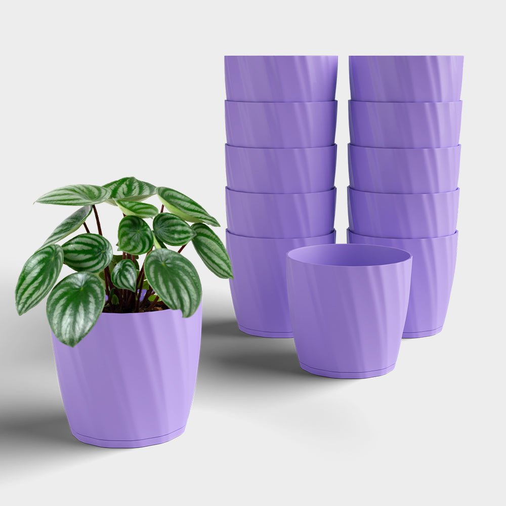 SHERA | ZINNIA PLANTER
