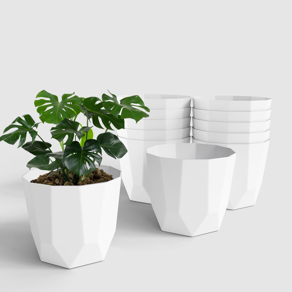 SHERA | HEXA PLANTER
