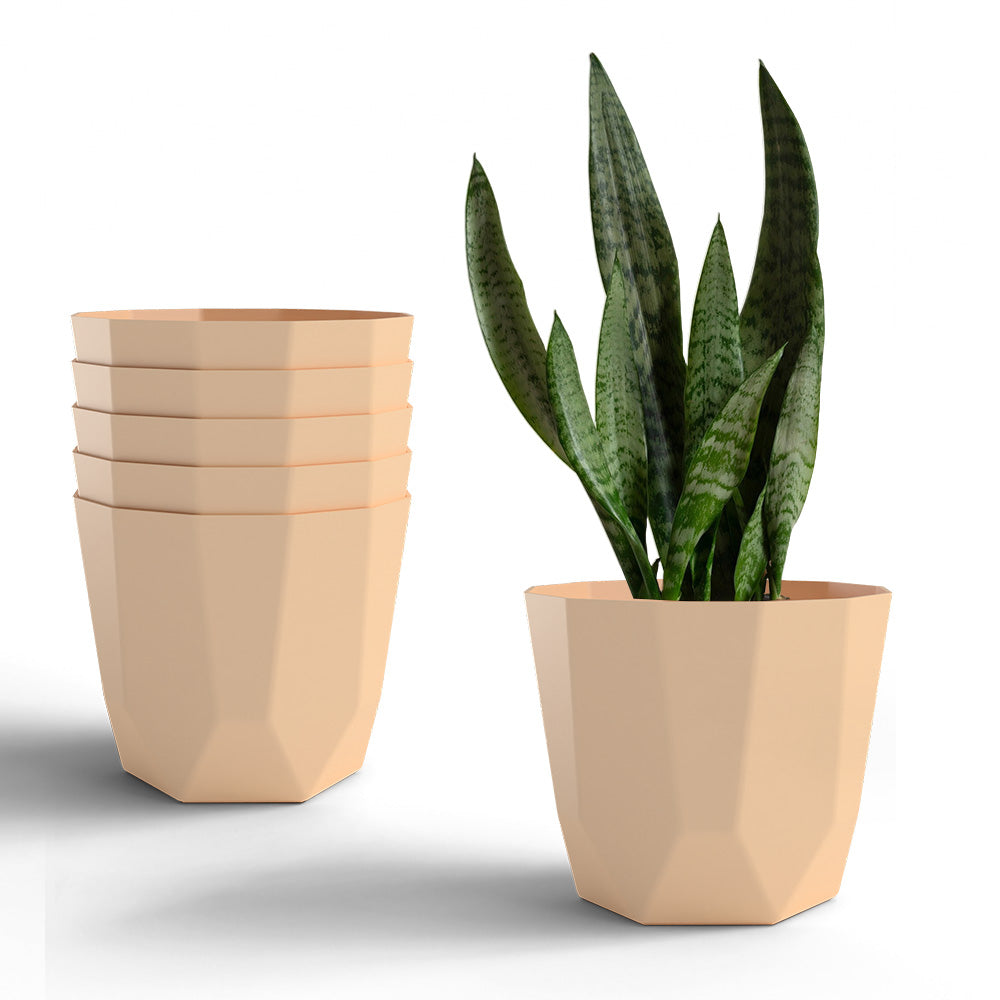 SHERA | HEXA PLANTER