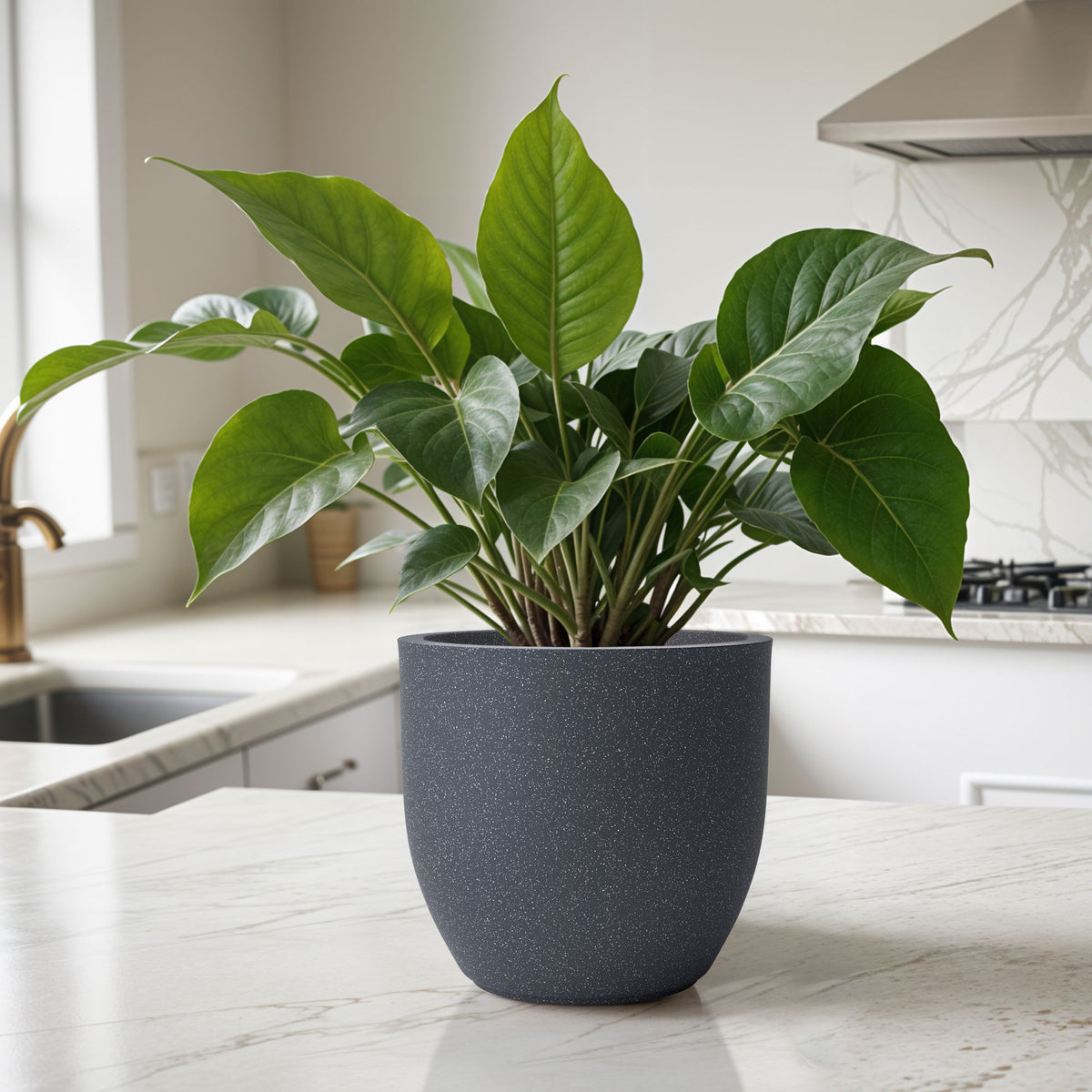 FOX B | P CUP PLANTER 6 INCH TO 15 INCH