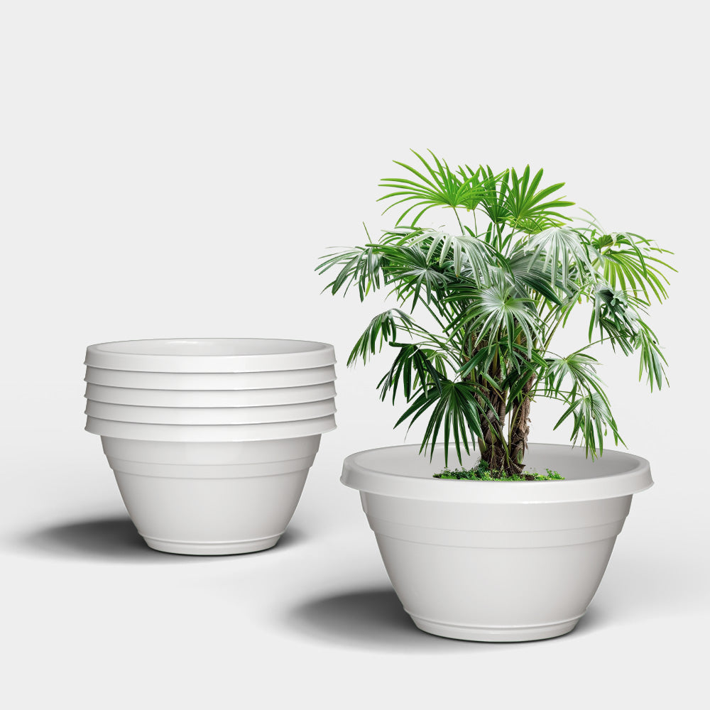 SHERA | BOTANICA BONSAI KTR PLANTER