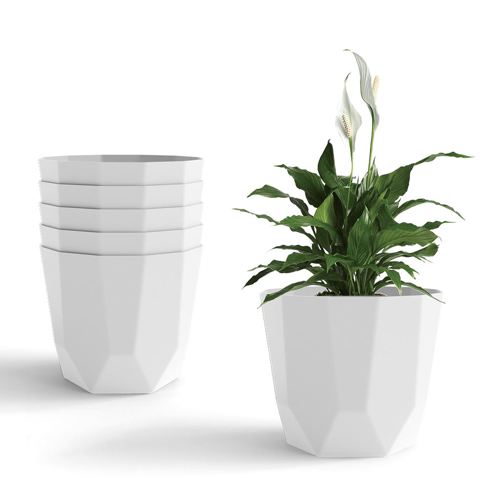 SHERA | HEXA PLANTER