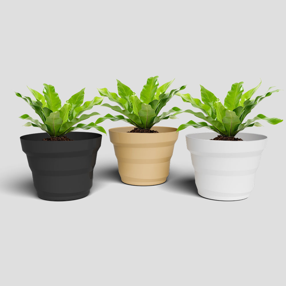 SHERA | RING PLANTER