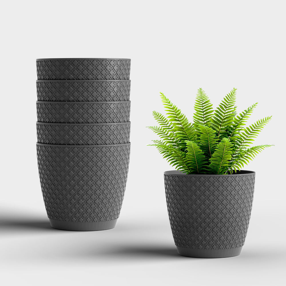 SHERA | CRUZ PLANTER