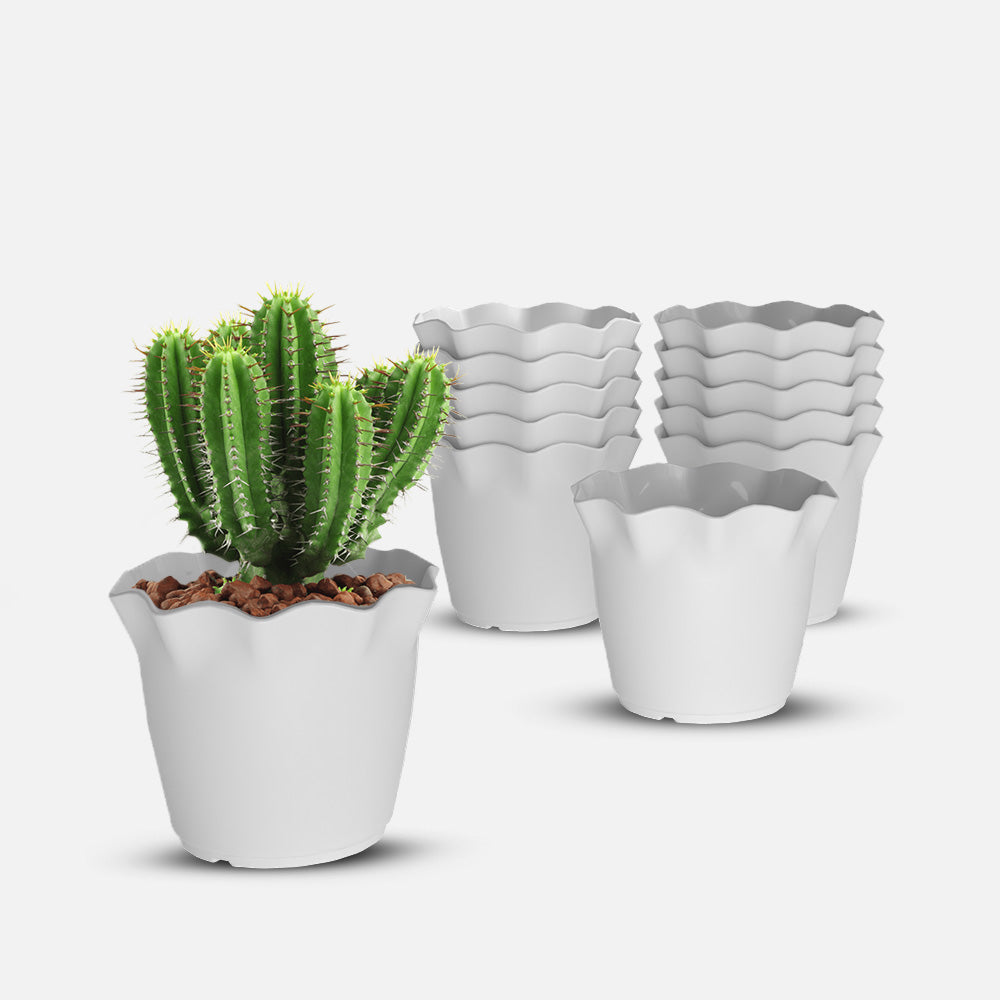 SHERA | FLOWER PLANTER