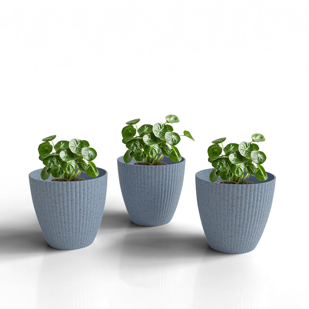 SHERA | LOTUS BIO PLANTER