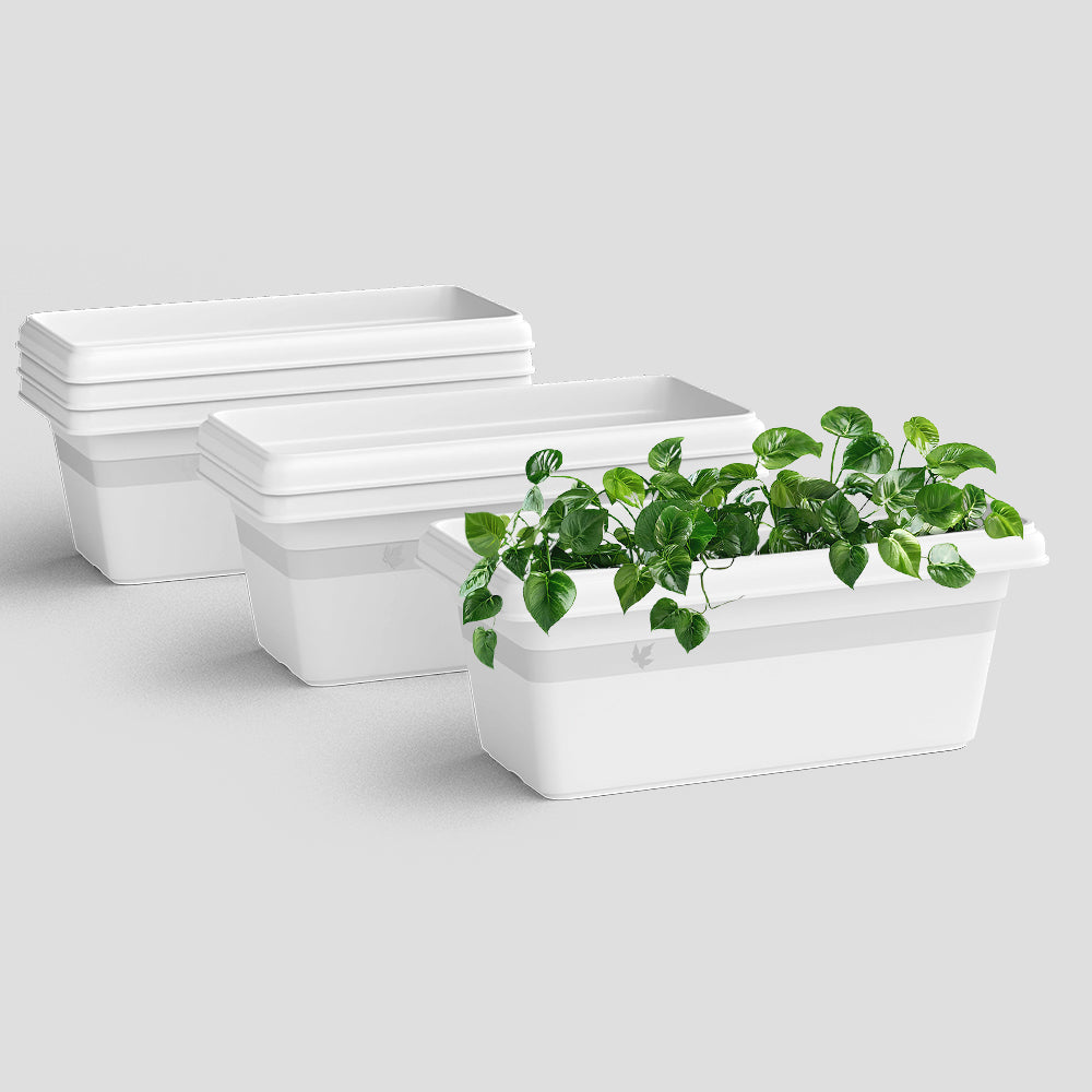 SHERA | TP PLANTER