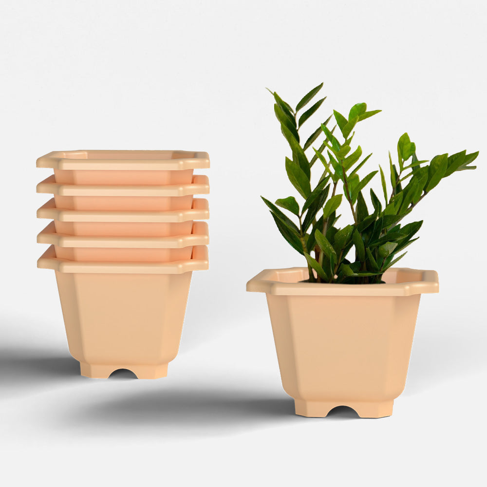 SHERA | OCTA PLANTER SET OF 6