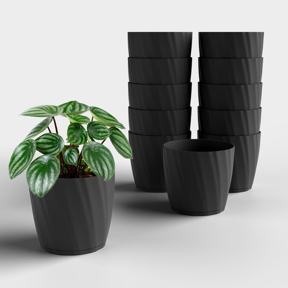 SHERA | ZINNIA PLANTER