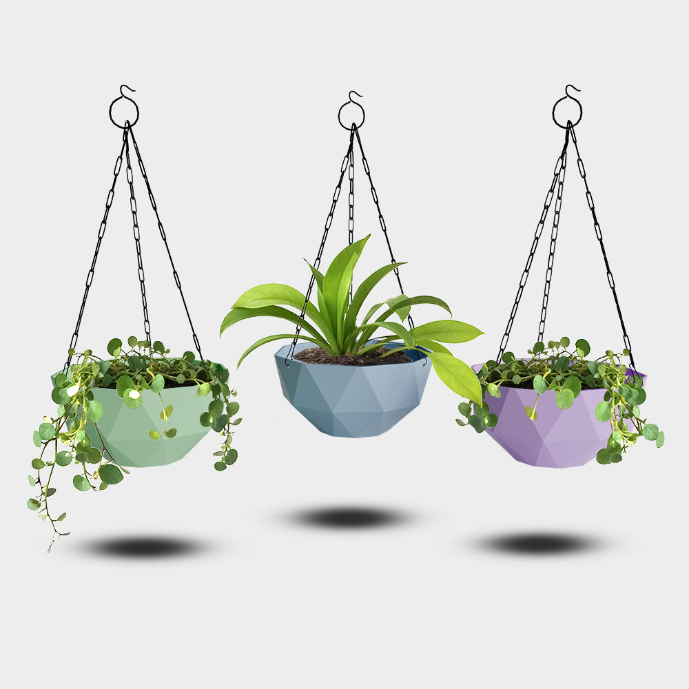 SHERA | DMD KTR HANGING