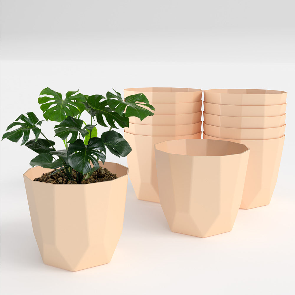 SHERA | HEXA PLANTER