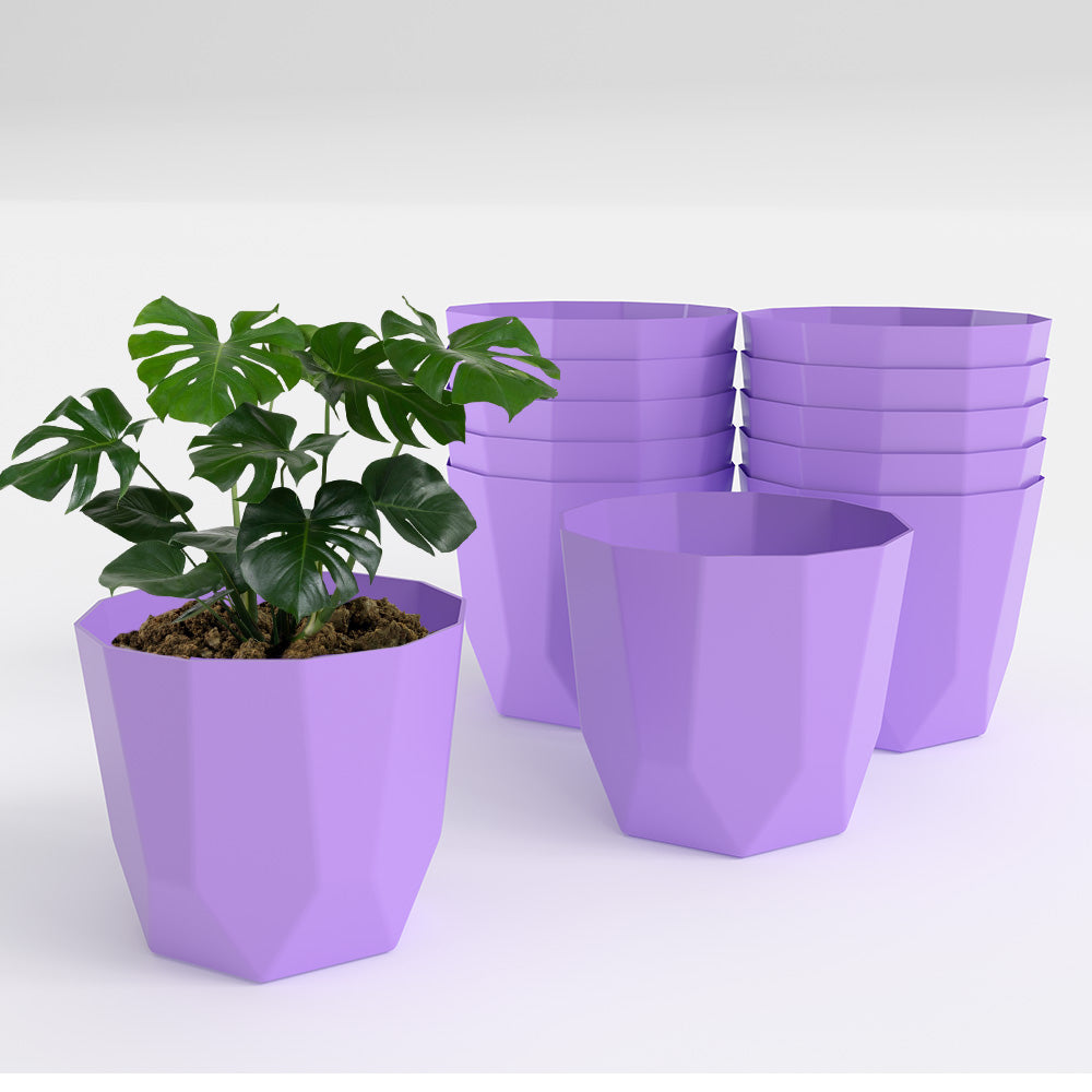 SHERA | HEXA PLANTER