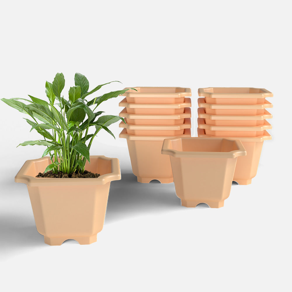 SHERA | OCTA PLANTER SET OF 12