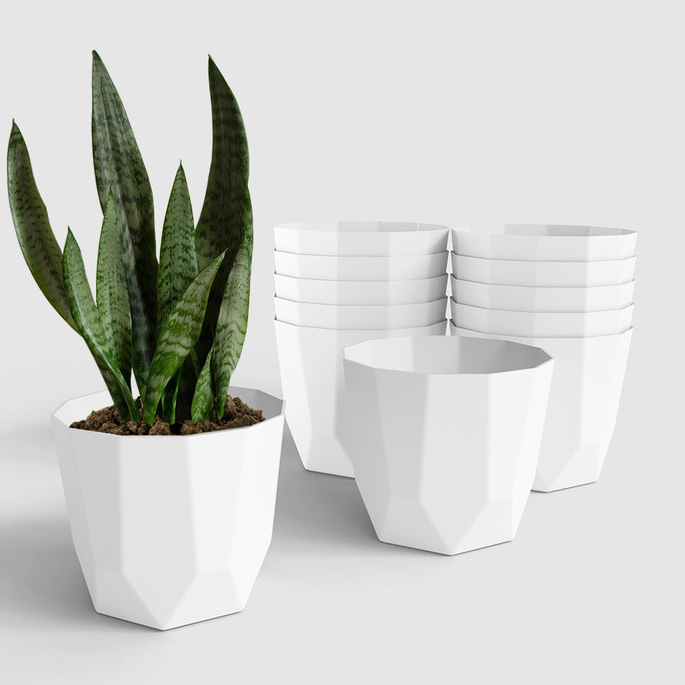SHERA | HEXA PLANTER