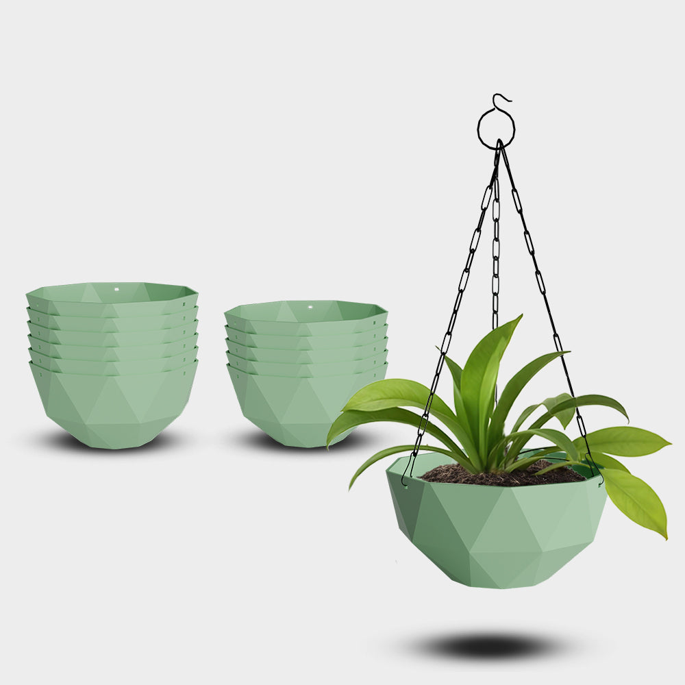 SHERA | DMD KTR HANGING