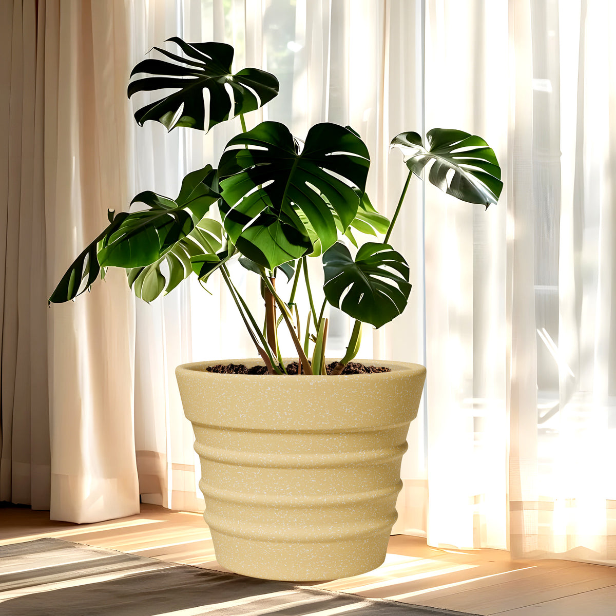 FOX B | BR PLANTER