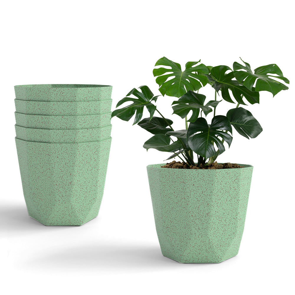 SHERA | HEXA BIO PLANTER