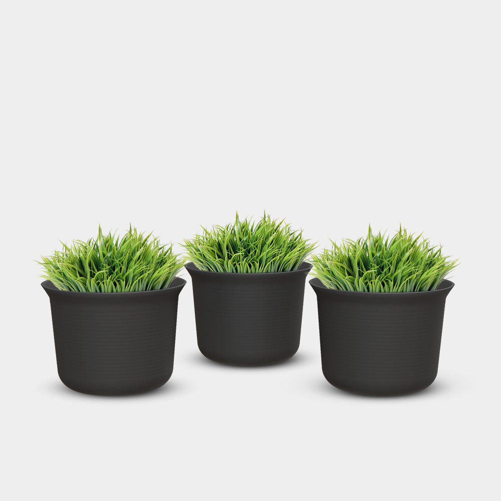 SHERA | FLORA PLANTER