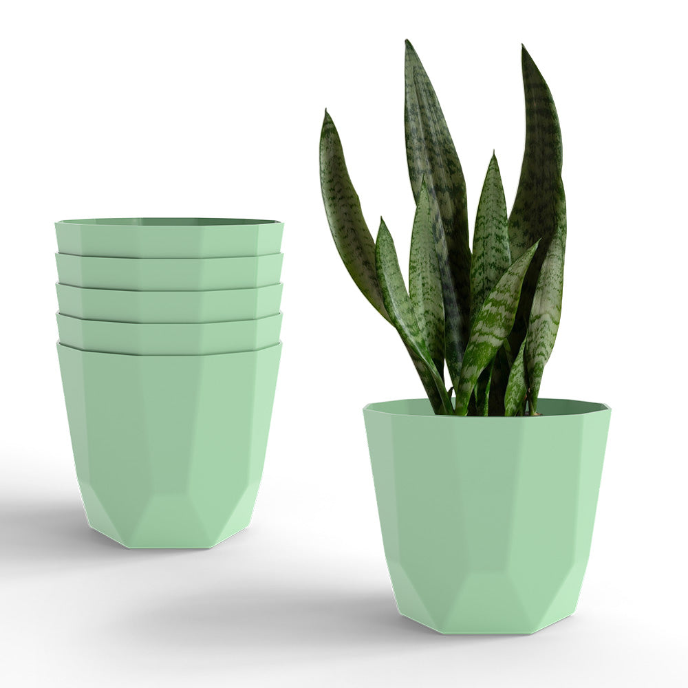 SHERA | HEXA PLANTER