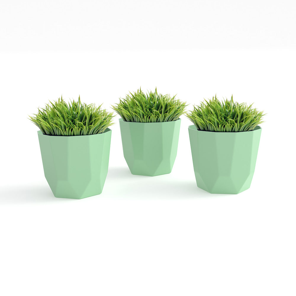 SHERA | HEXA PLANTER