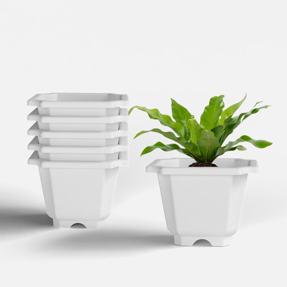 SHERA | OCTA PLANTER SET OF 6