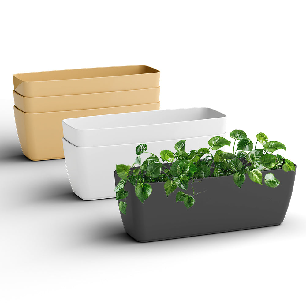 SHERA | CABI TRAY PLANTER