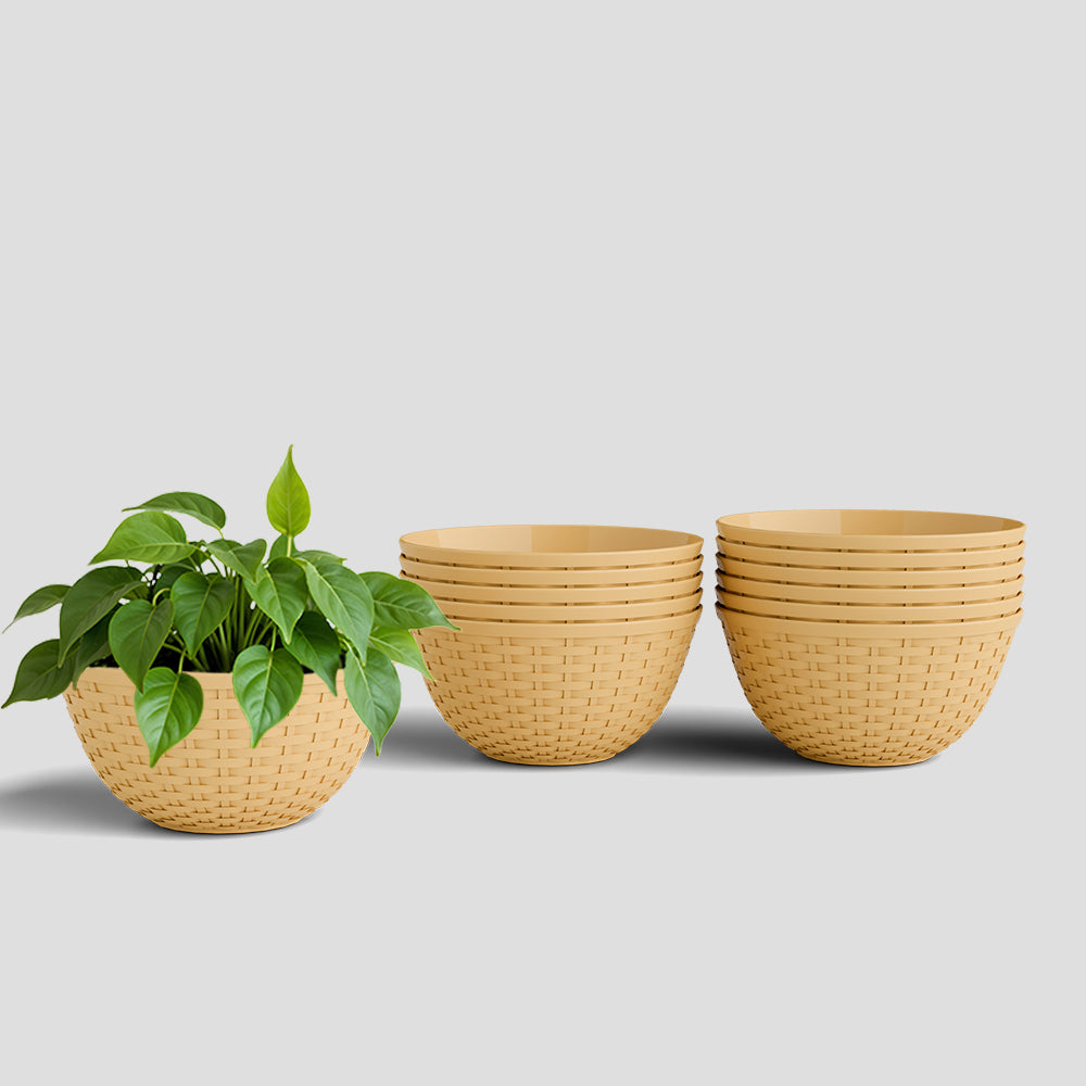SHERA | CHICK KTR PLANTER