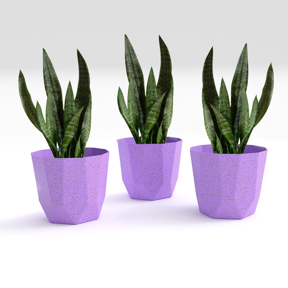 SHERA | HEXA BIO PLANTER